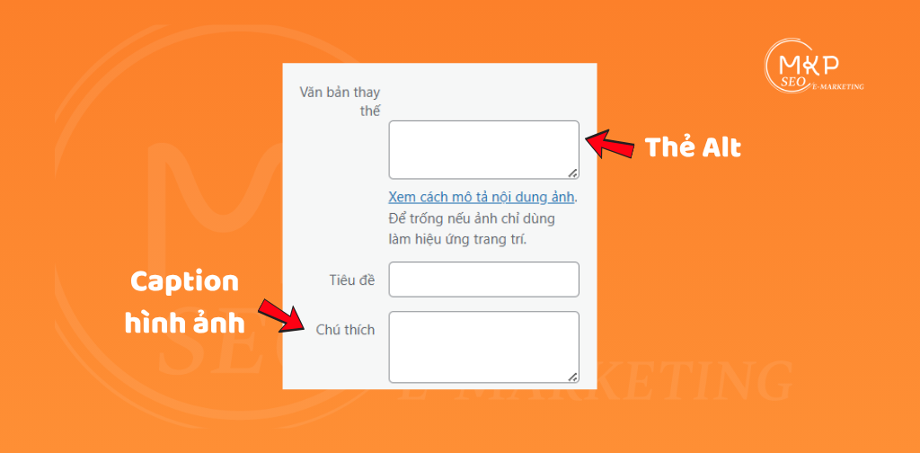 Alt-text và Caption hình ảnh trên website.